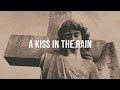 A kiss in the rain  kill shelter  antipole