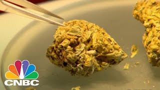 The Craft Brewery Of Cannabis | CNBC
