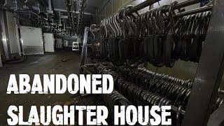 Abandoned Slaughter House Abattoir Like Something From A Horror Movie