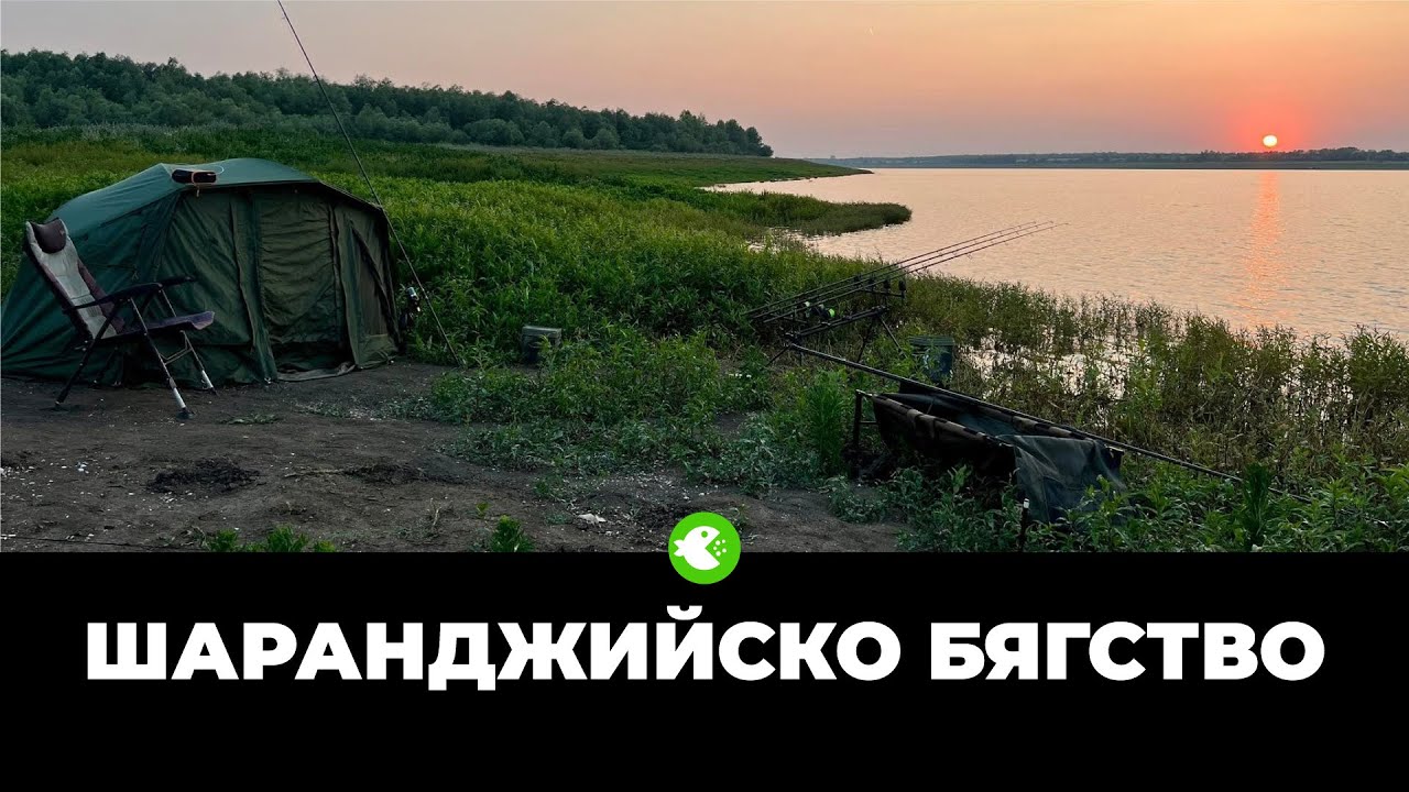 САМ СРЕД ПРИРОДАТА: Шаранджийско бягство на яз. Горни Дъбник