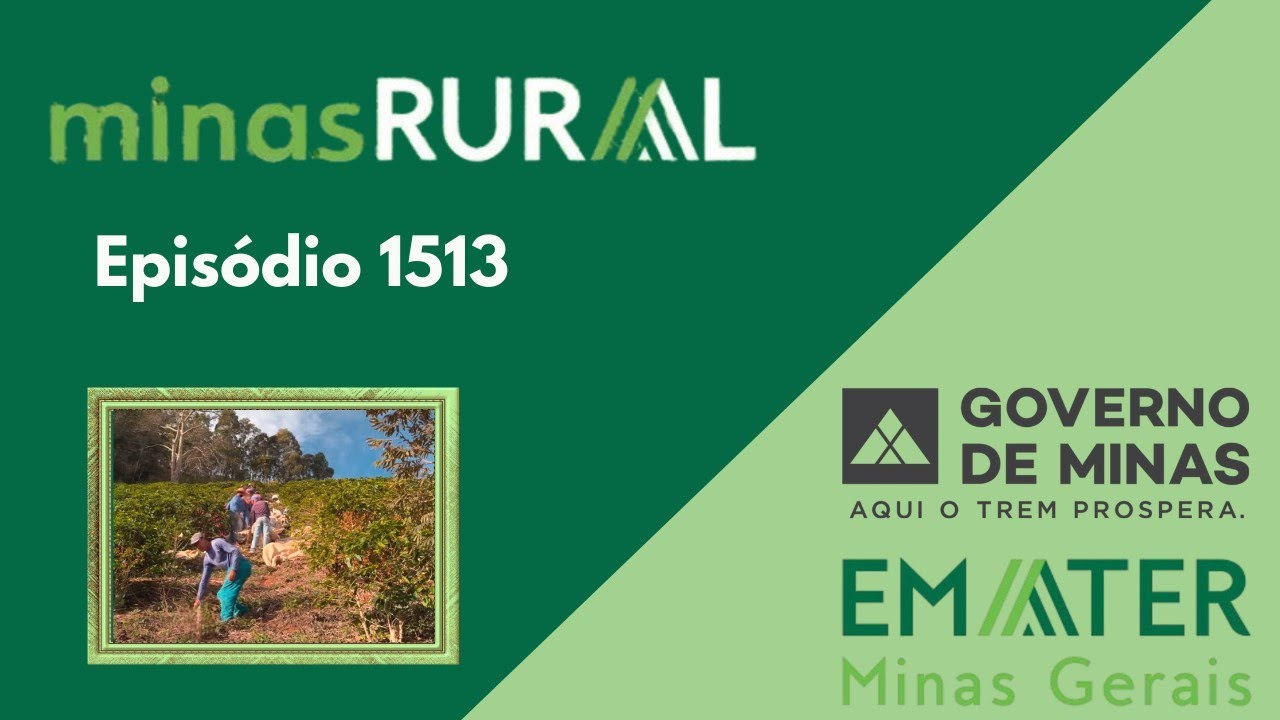 MINAS RURAL 1513 COMPLETO