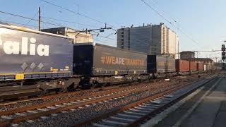 Vectron born to rail #trainspotting #railtrack #train #railway #railwaycontent 