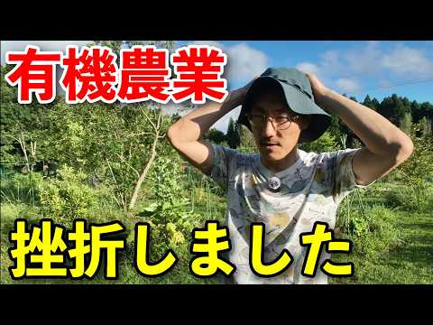 畑は小さな大自然 そーやん - YouTube
