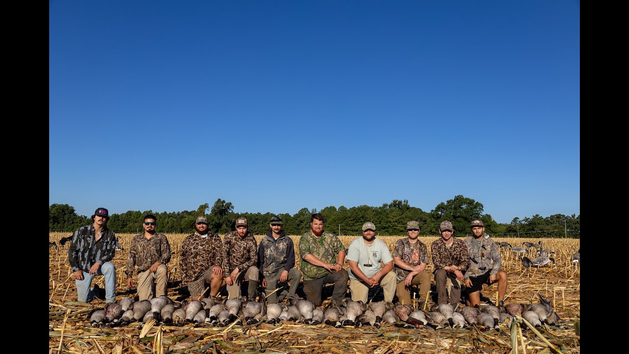 Early Season goose hunt | September limits