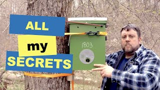 🐝 How to Hang a Swarm Trap