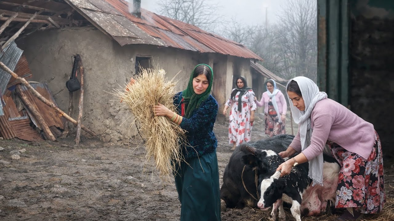 Would you like to visit this village? 🐄🌍| Charming Villages Around the World