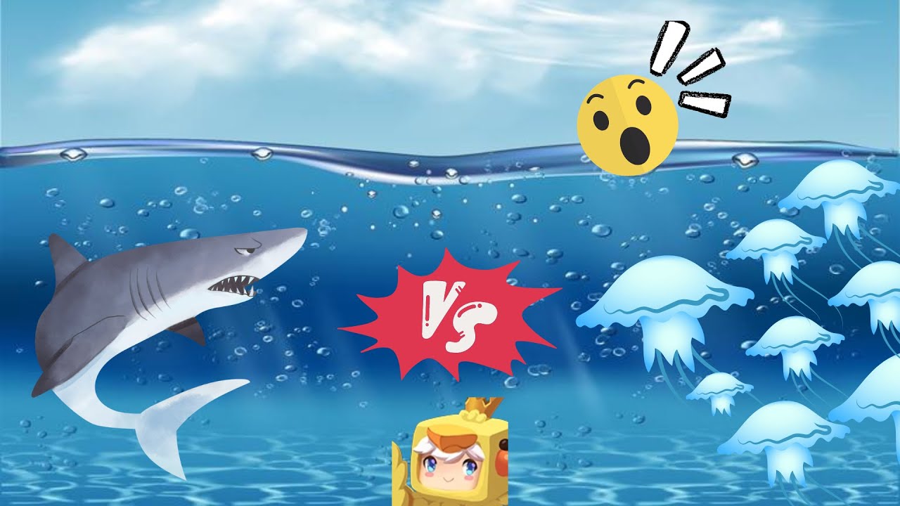 Tiburones V.S Medusas | MiniWorld