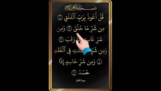 surah Al falak #duet #duroodpak #duroodshareef #egzonibrahimi #love #islamicreminder #quotes