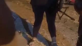 La vaca GEDIONDA la iso BACANO NO FUE LUIS quintanilla