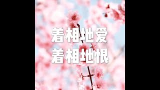 201902 着相地爱 着相地恨25603