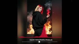 I.R.T JOGET GACOR _ INDIA MAKANAN ANGUS _ REMIX EDWAR G 2025