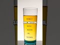 The Magic of Density: Liquid Layering Experiment