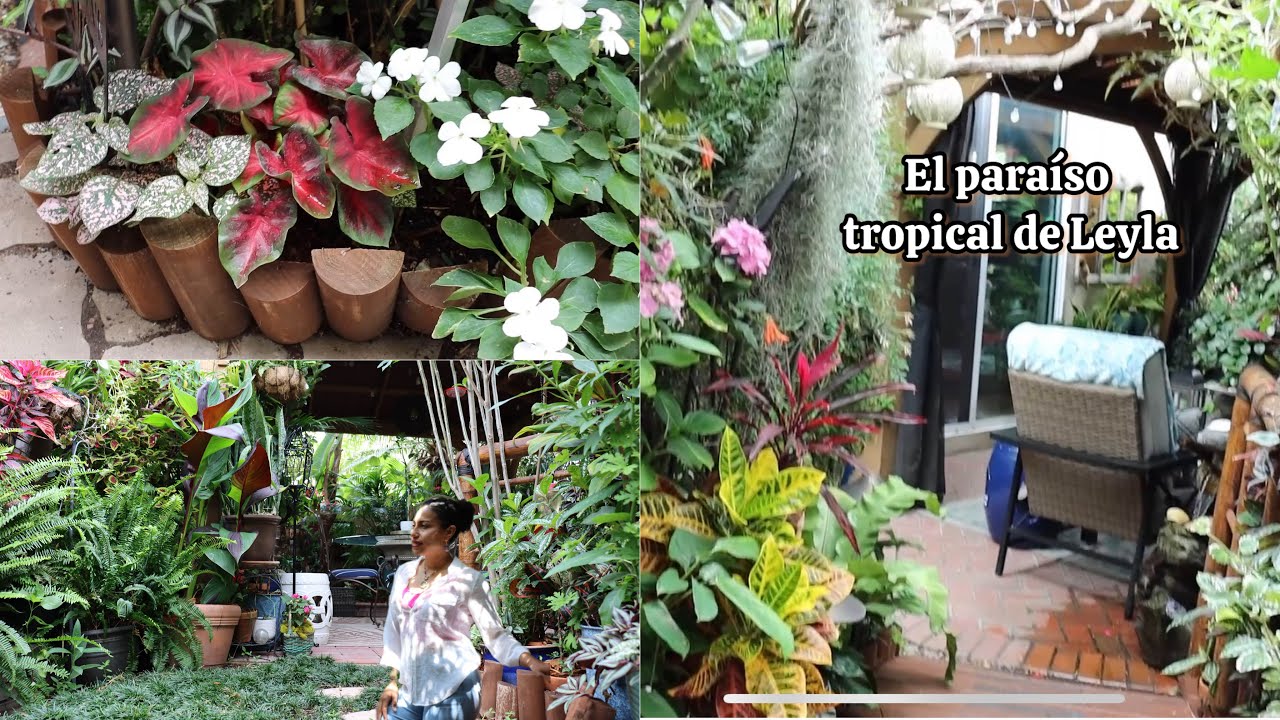 Un jardín lleno de vida y con una gran variedad de plantas