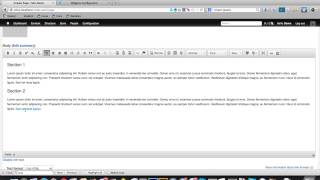 WYSIWYG Text Editor