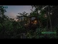 Deep Sleep Rain and Gentle Thunder Loop Soundscape