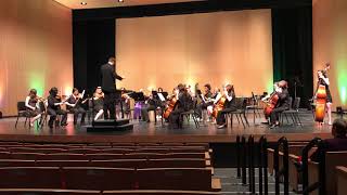 PHS Strings: "Serenade for String Orchestra," KSHSAA State Large Ensemble 2019