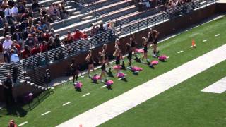 Oct. 11, 2014 Homecoming Day, Troy University v.s. New Mexico State University