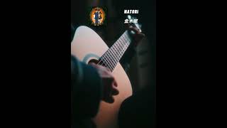    osmanthus Guitar Intro