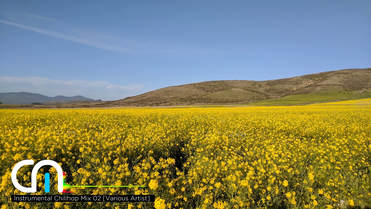 Instrumental Chillout Mix 02 [Various Artist]