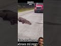 Un héroe, pero mucho arriesgó #camionerosamericanos #automobile #truckesvlogs #trailerosmexicanos