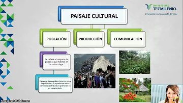 ¿Qué diferencia hay entre el paisaje natural y el cultural?