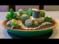 Cacti and Succulents Arrangement