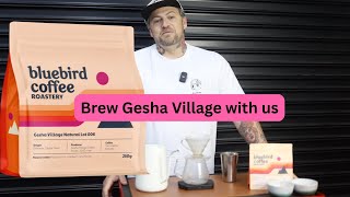 Hario V60 Recipe || Best of Bluebird January 2026