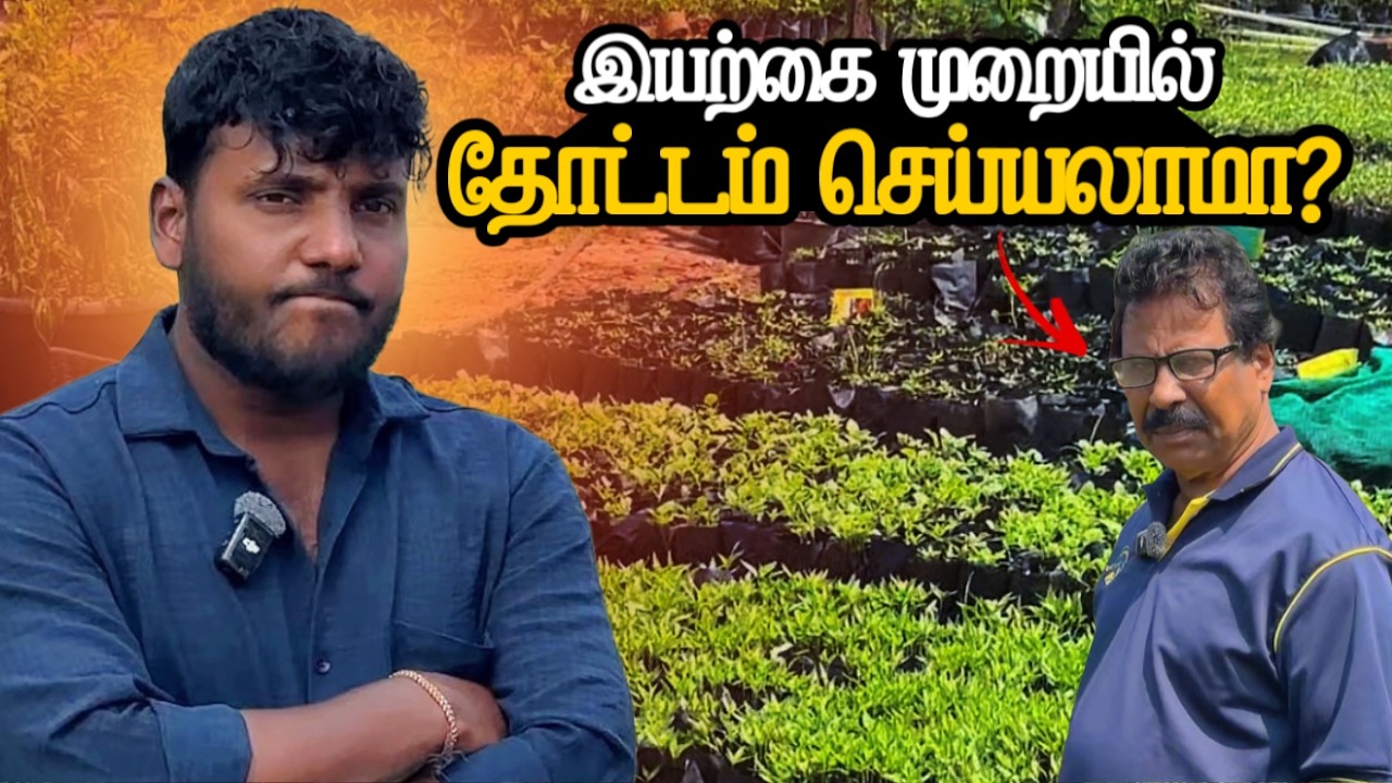 இயற்கை முறையில் தோட்டம் செய்யலாமா? | Kilinochchi Agriculture | Green Garden Ep 2 | Pavaneesan