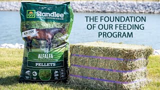 The Feeding Routine at Downunder Horsemanship