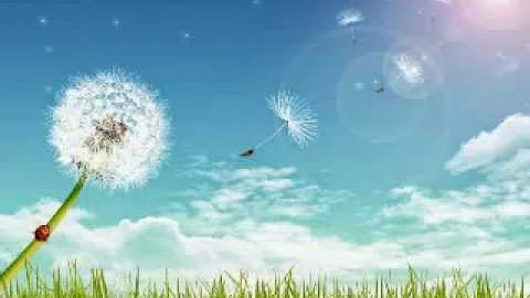 O que a Bíblia diz sobre flor?