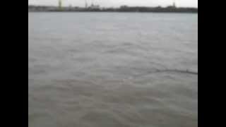 Cod Fishing River Mersey 2012 aboard Discovery