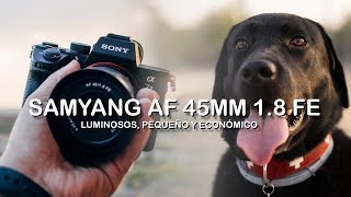 Nuevo Samyang AF 45mm f/1.8 FE y enfoque al ojo de mascotas - Review