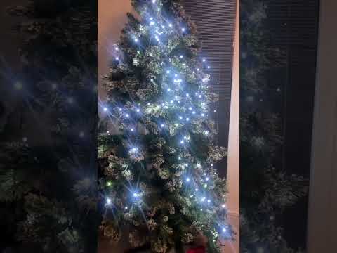 MERRY CHRISTMAS !