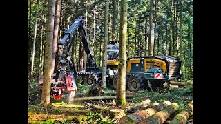 🎄*OnBoard* HSM 405-H4 • *THE biggest Harvester* • Forstbetrieb Aichholz • X270 &amp; Waratah 415🎄