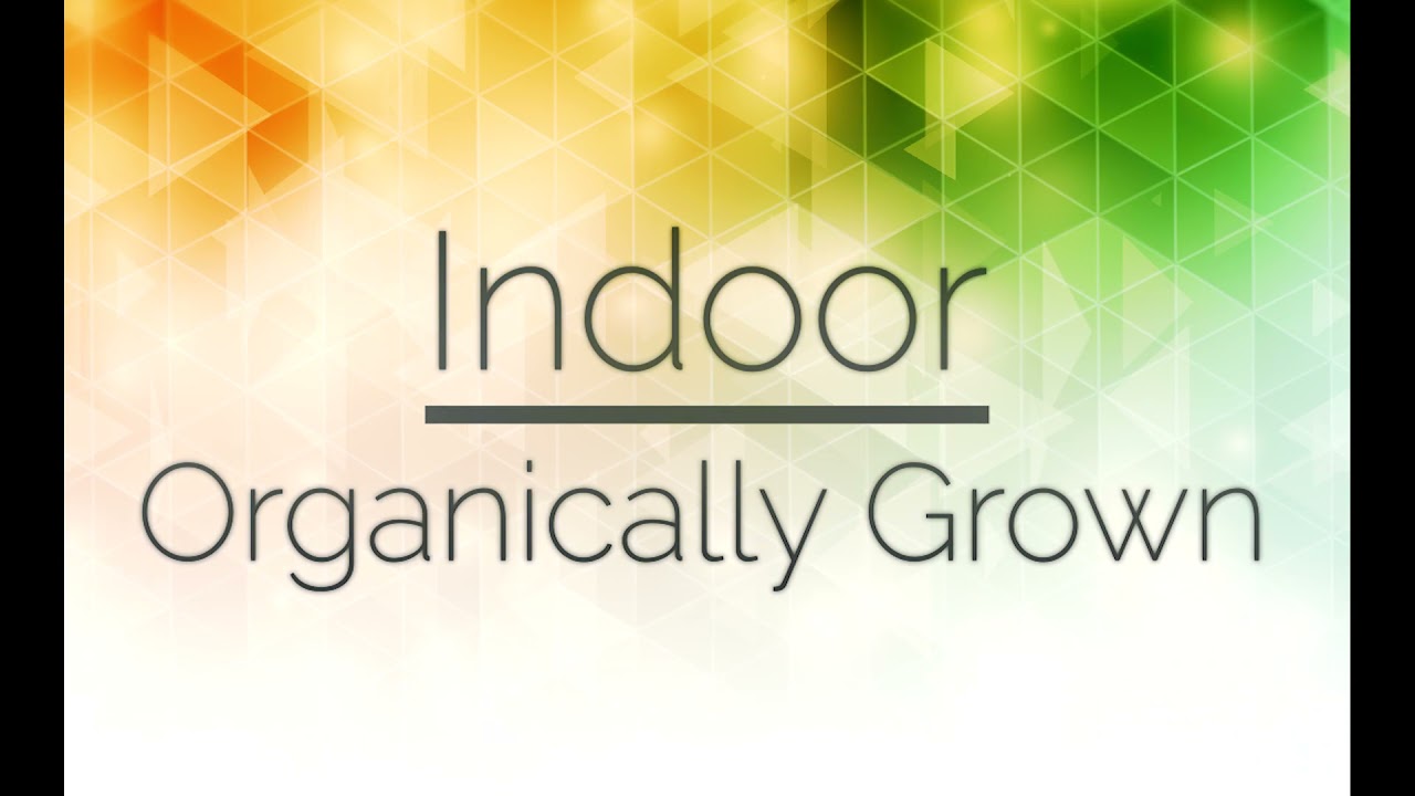 AbsoluteNatureCBD - Hemp Flower Intro - Premium indoor grown CBD Hemp Flower