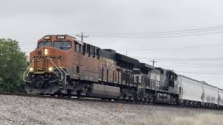 My norfolk southern catches of 2024