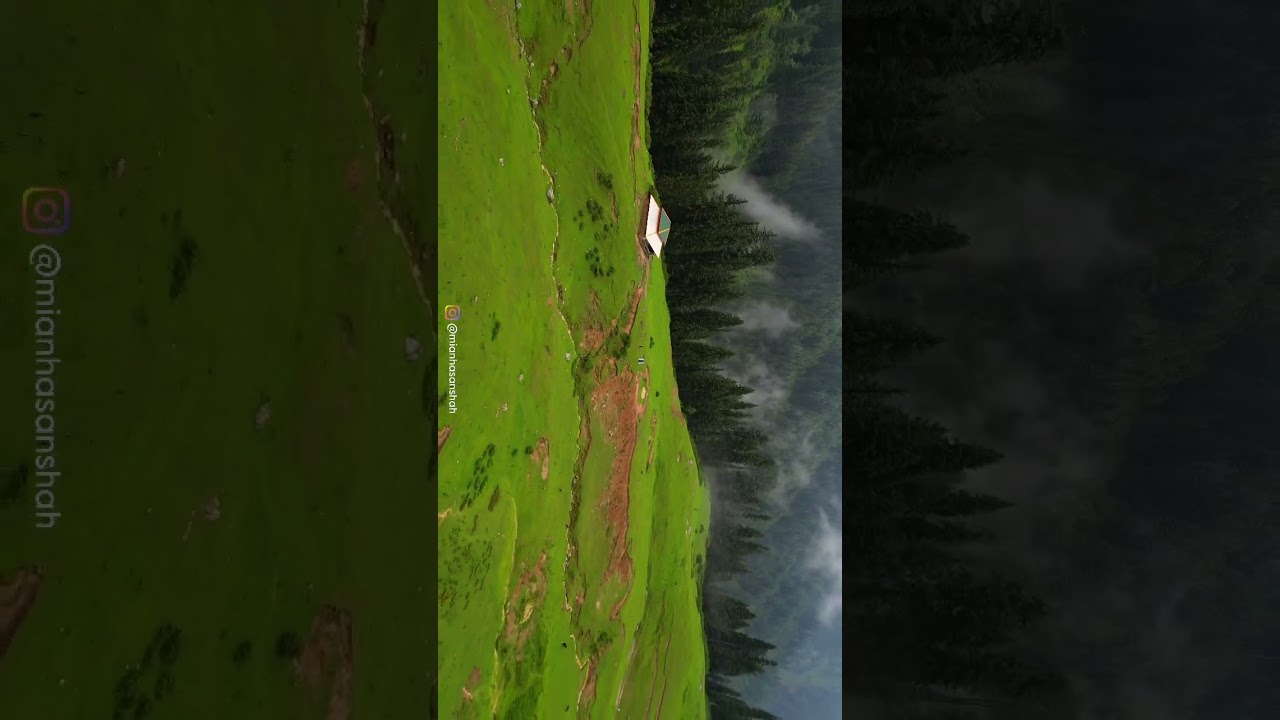 jarogo meadows || swat valley 