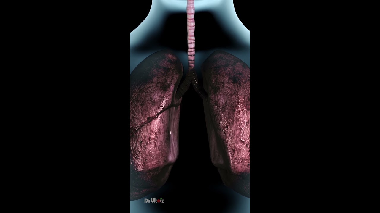 How Exactly Does Smoking Affect The Body