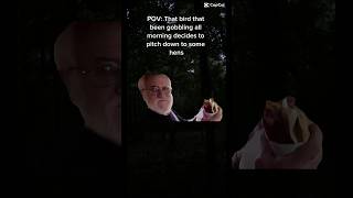 POV: that bird that’s been gobbling all morning decides to pitch down to some hens #pov #hunting #fy