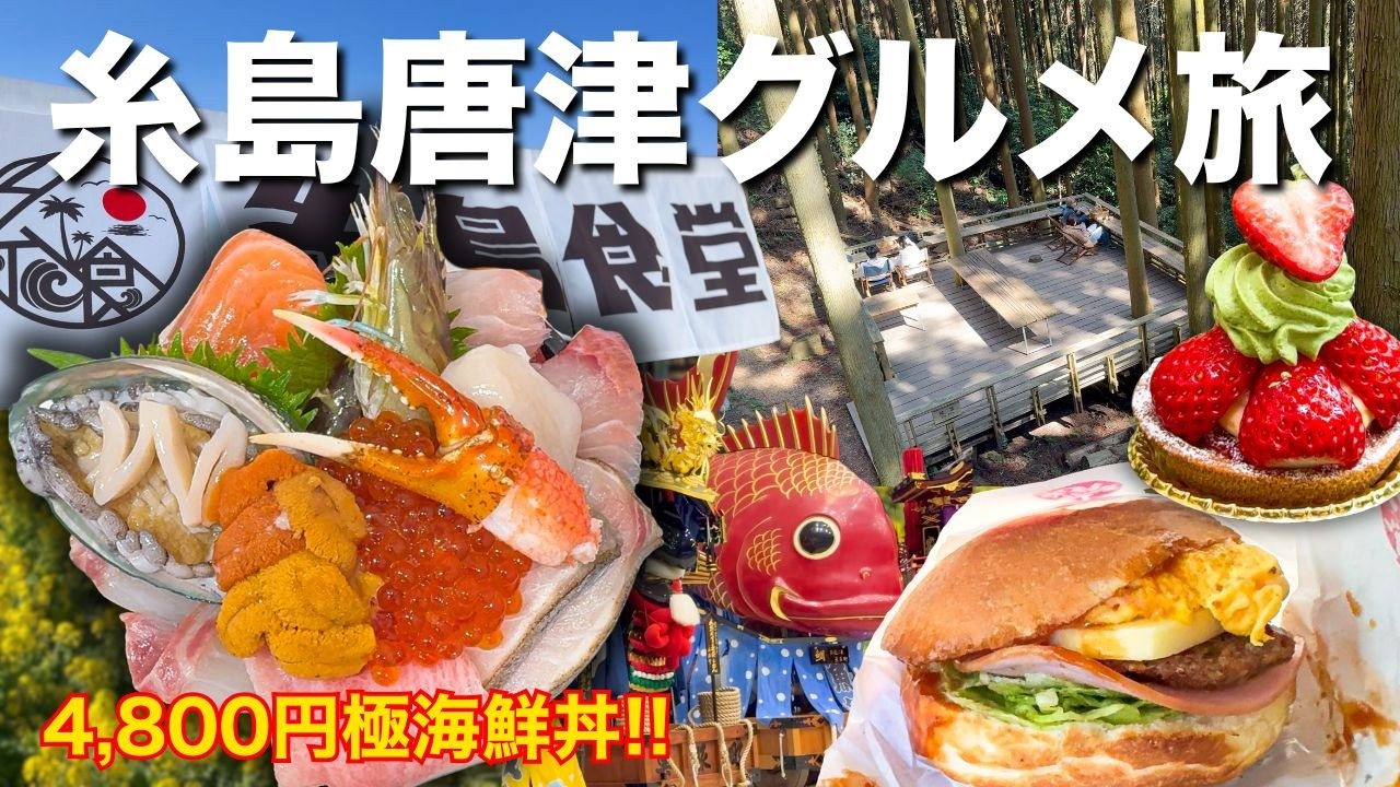 【糸島唐津グルメ旅】4800円の極海鮮丼！糸島食堂の行列と駐車場問題を攻略！最後は呼子で車中泊