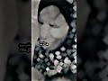 ام فلسطينيه مفجوعه حبيبي يمه كوم ارضع الله اكبر طوفان الأقصى فلسطين غزة اطفال فلسطين