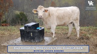 Automatic Waterers for Livestock