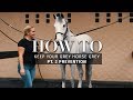 Comment garder votre cheval gris grey pt 2 prvention