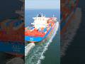 90% of World Trade Travels by Sea 😱 The Hidden System That Connects the Entire World 🌎🚢 #shorts