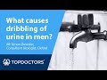 Male incontinence: what causes dribbling of urine?