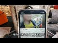 浪尽欢摩旅西藏差点被打的视频被别人重新解说播放量600多万啊 浪尽欢摩旅西藏差点被打的视频被别人重新解说播放量600多万啊