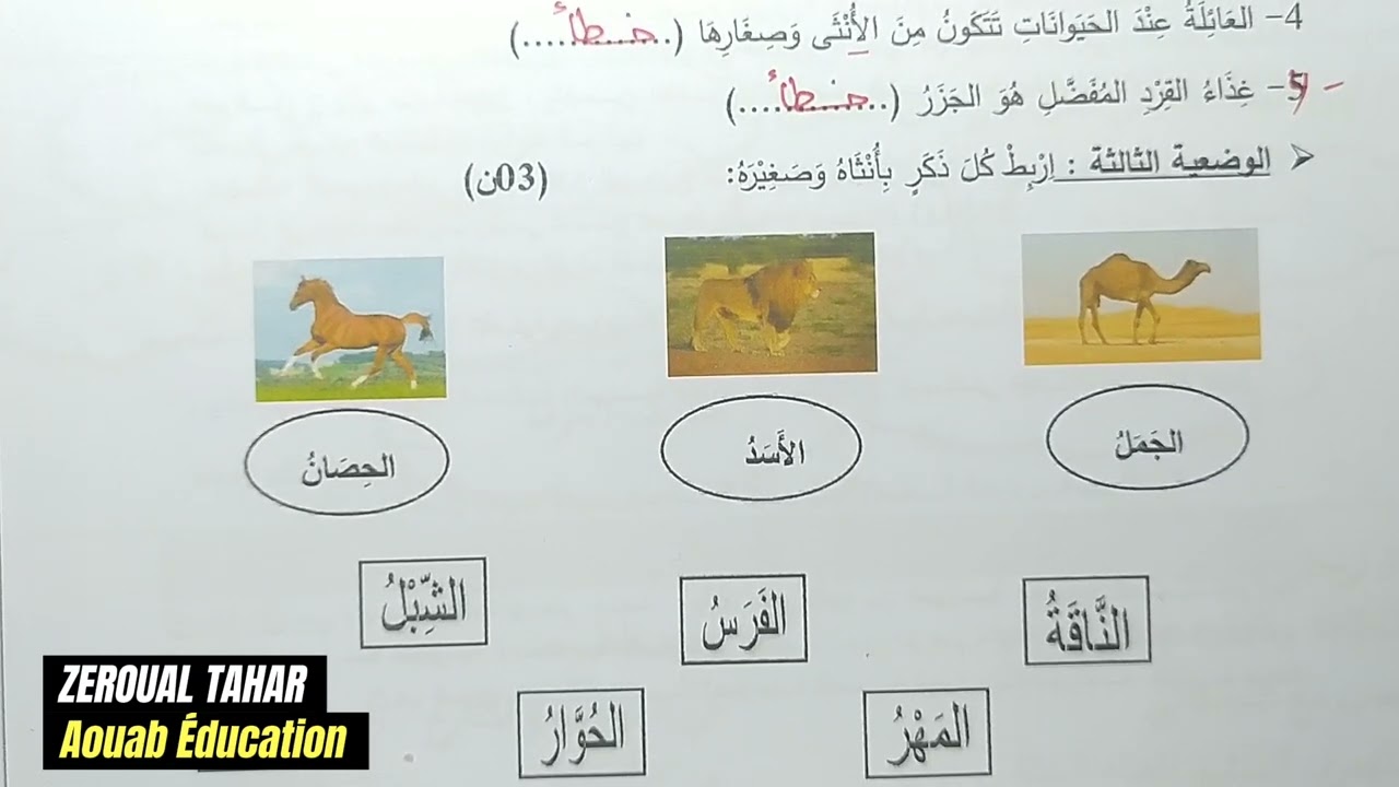 حل نموذجي لامتحان الفصل الثاني في التربية العلمية 2023-2024  (نموذج01 )≡ الثانية ابتدائي