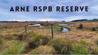 Arne RSPB Reserve - Nature Diaries by Conservation Chat UK 817 views 1 year ago 7 minutes, 8 seconds