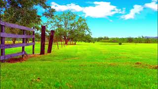 NATURE AND CLOUDS HD BACKGROUND FOR GREEN SCREEN ANIMATED NATURE BACKGROUND