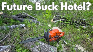 Building a Whitetail Hotel Where Great Terrain Meets Great Trees to Cut